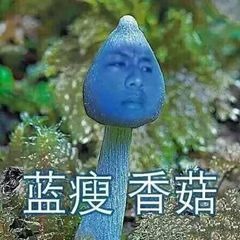 蓝瘦香菇