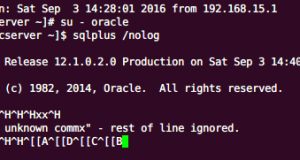 Linux系统下oracle软件的sqlplus删除回退键无效的问题