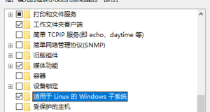 Windows 10 安装 Bash Shell 一个运行于 win 之上的 Linux 系统